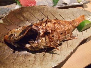 agiyao16.jpg agiyao16.jpg