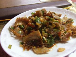 ryumon8.jpg ryumon8.jpg